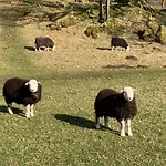 Ivythwaite Windermere