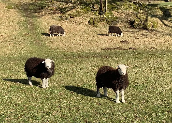 Ivythwaite Windermere